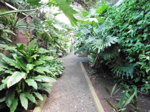 Paths lead to more plants everywhere!   